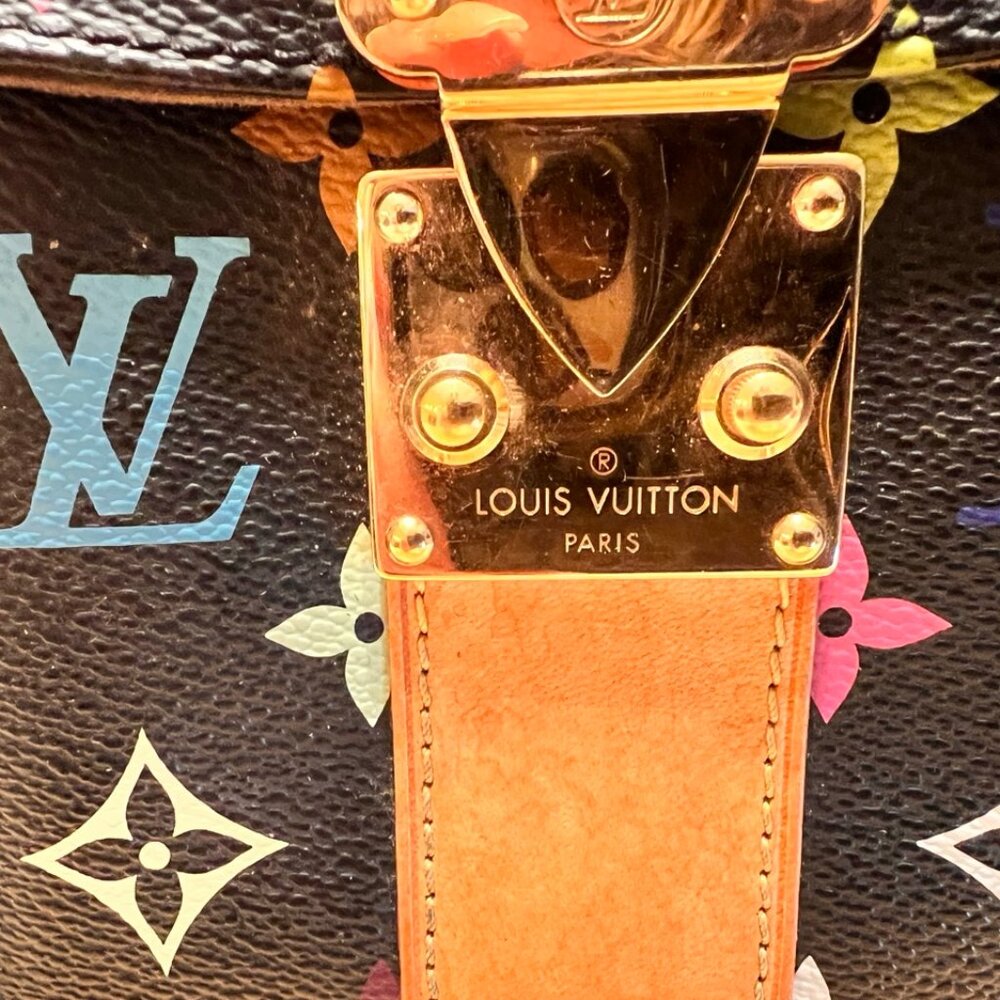 Authentic Louis Vuitton Multi Color Speedy 30 - Picture 2 of 15